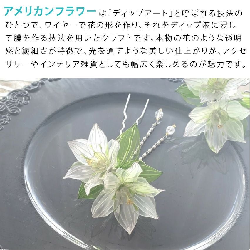 アメリカンフラワー 5点セット レシピ付 ディップ液 ワイヤー ゲージ