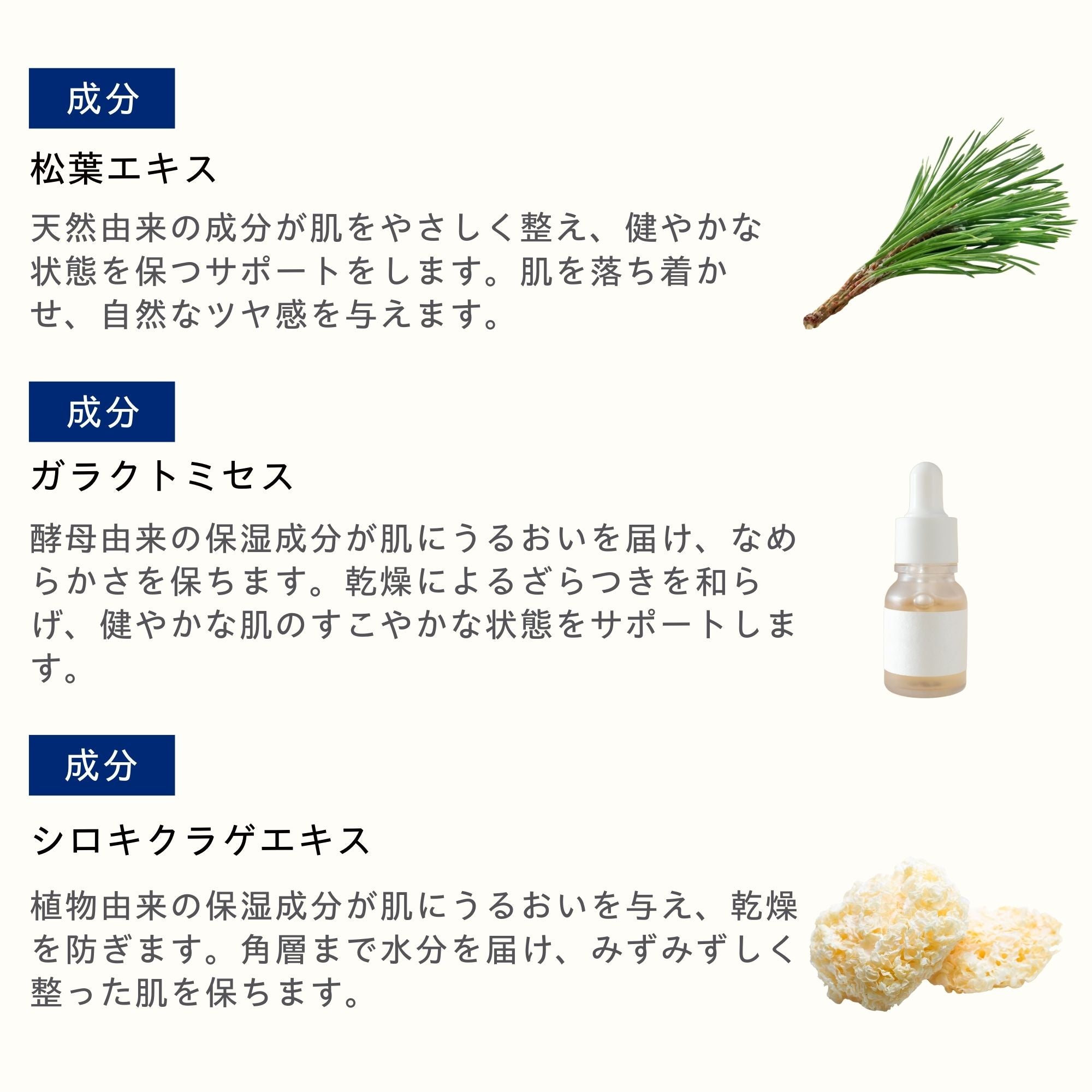 エナジークリーム 125ml – TROIAREUKE公式｜トロイアルケ