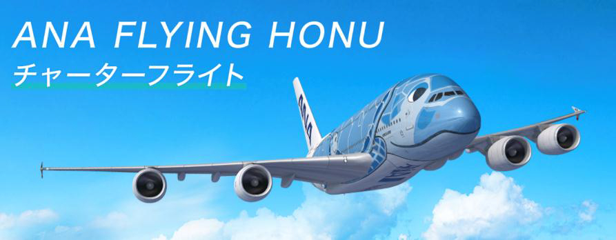 ANA、8月22日にA380「FLYING HONU」による遊覧飛行を成田発着で実施