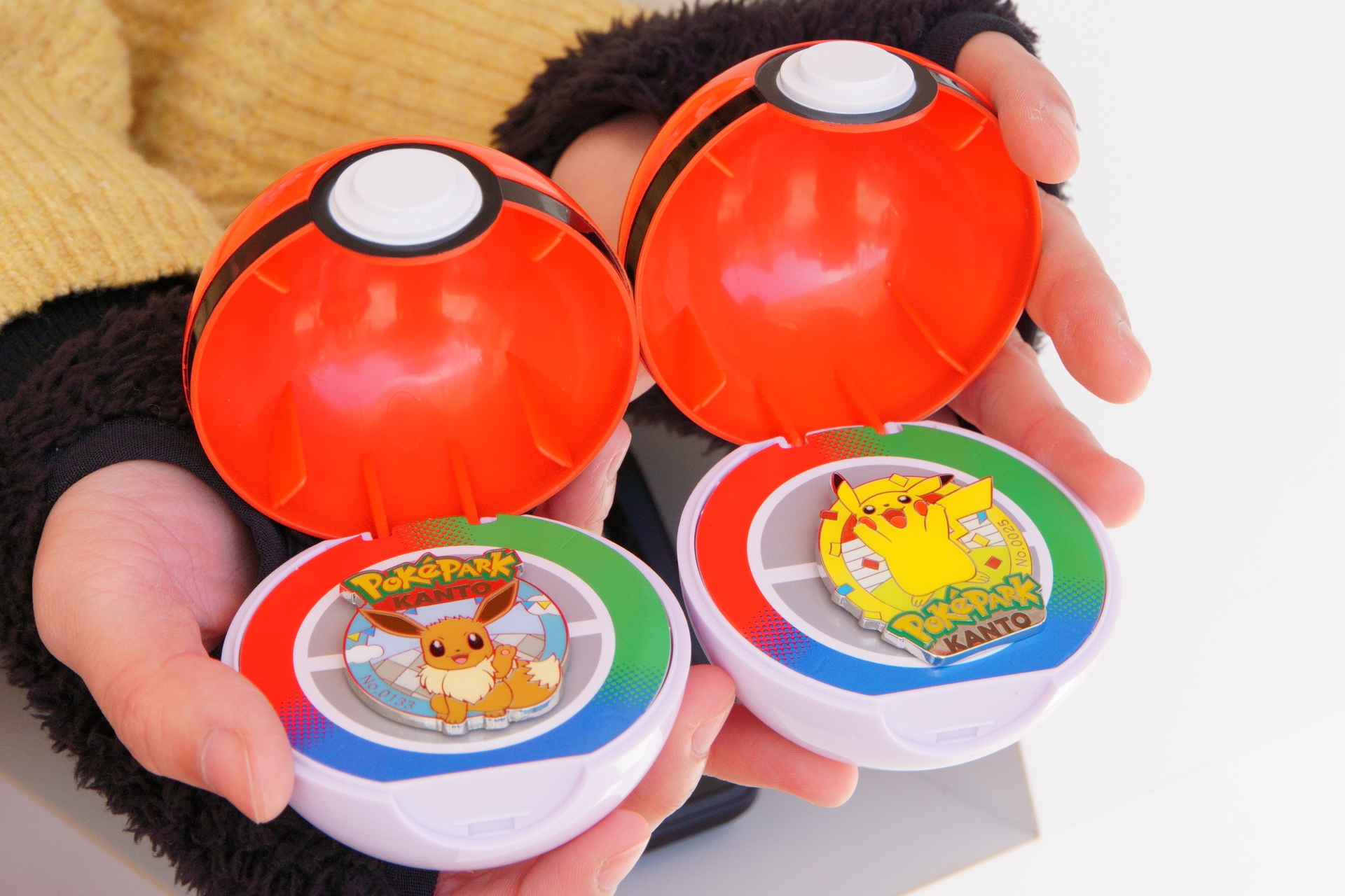 ポケパーク カントー ピンバッジ 10個 セット ピンズ バラ売り可