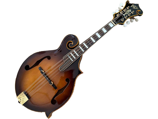 Blue Bellのアコースティックギター・マンドリン｜トレードマニア