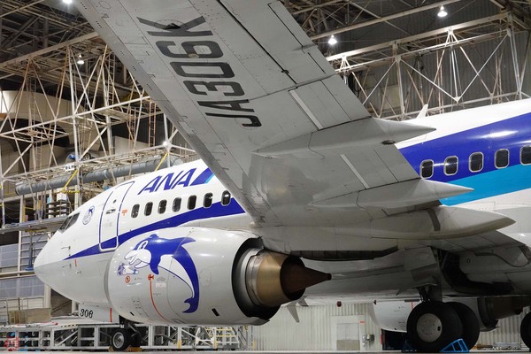 400機近く生産のB737-500のなかでも特別なANA「スーパードルフィン