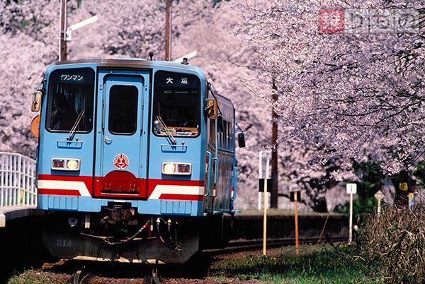 今日は何の日？】樽見鉄道が全線開通 | 乗りものニュース