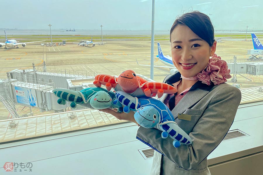 ANA A380「ウミガメのぬいぐるみ」 国内線やラウンジで買えるように 3