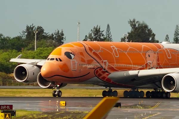 これぞ”激映え”！ ANA「オレンジのウミガメ」超巨大機A380、ついに