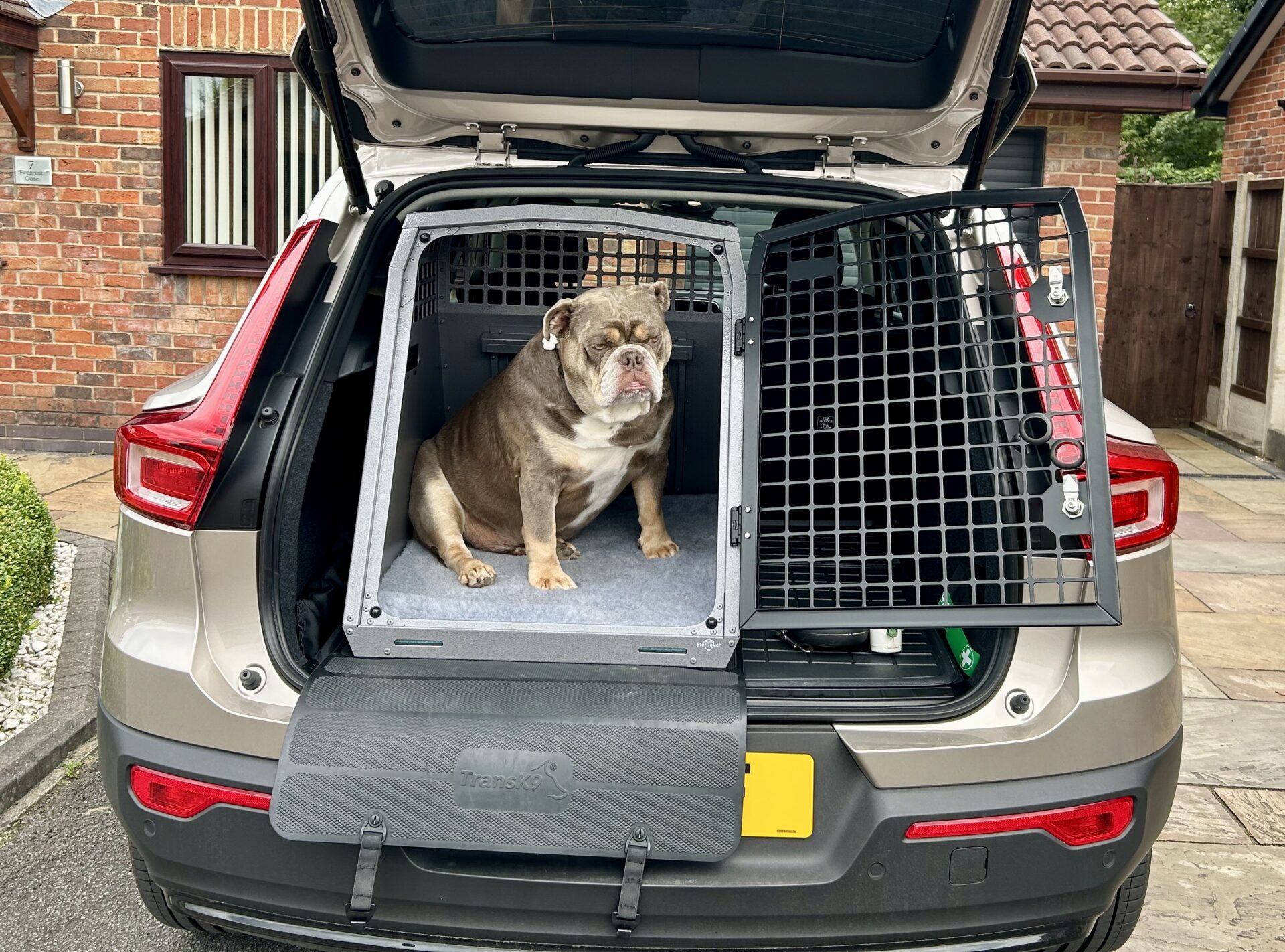 K9/C56 Car Dog Crate | Dog Transit Boxes & Cages | TransK9