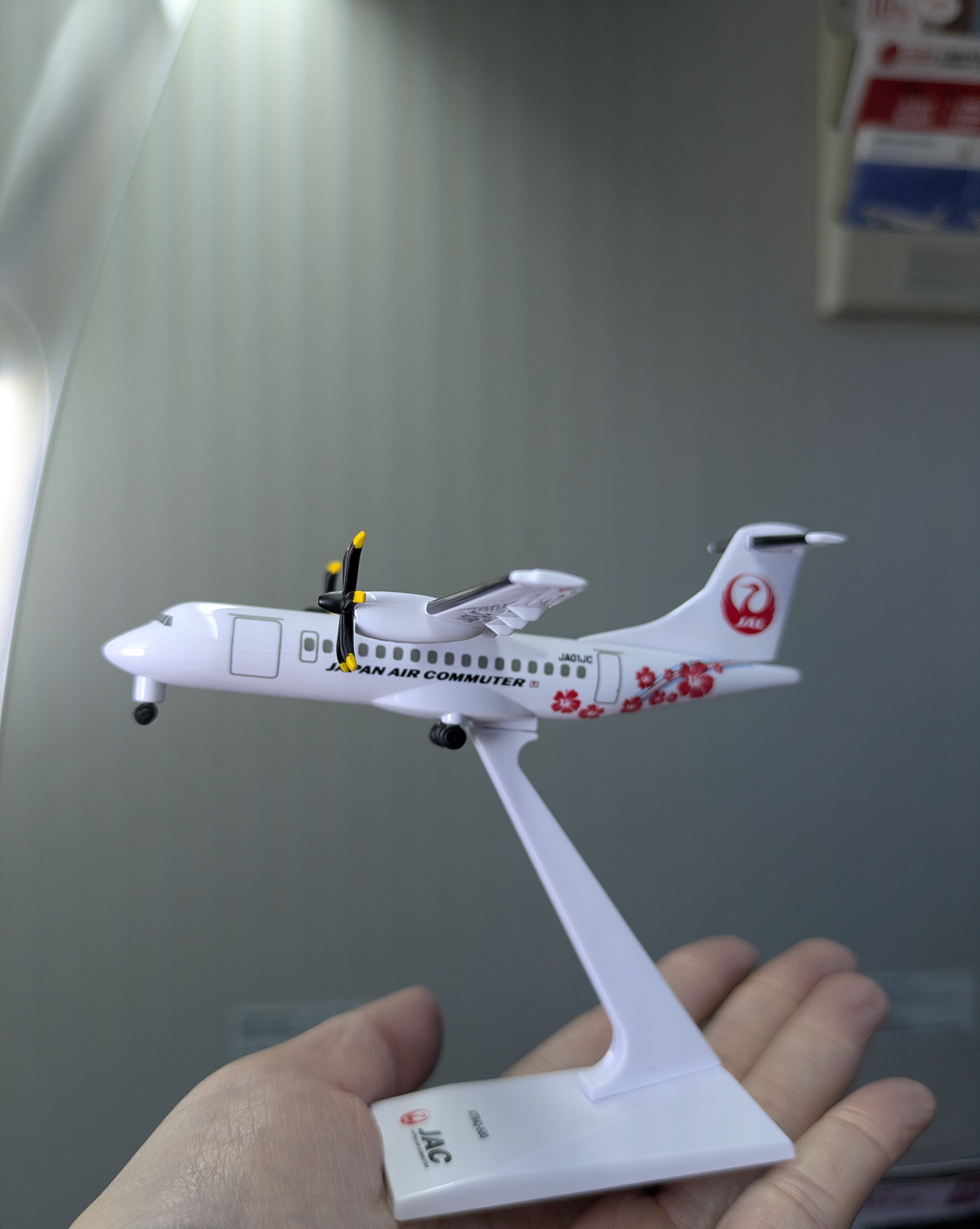JACのモデルプレーン✈️