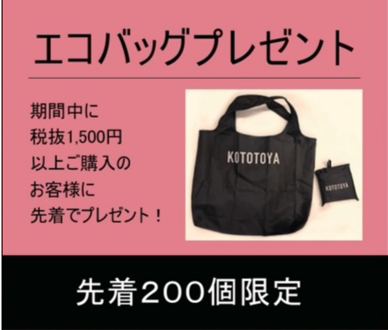 🎊『1周年祭』第2弾🎊｜こととや｜ショップニュース | 【トリエ京王
