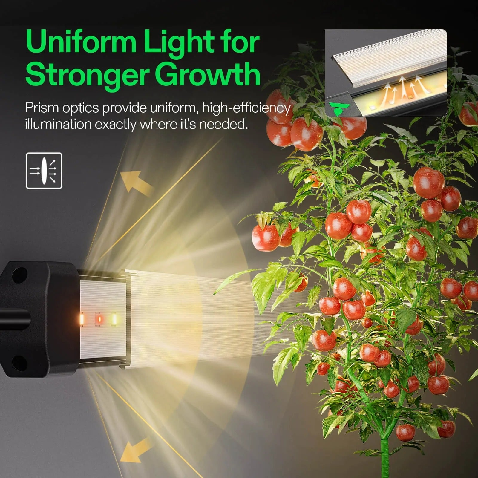 Vivosun LumaRay 8-Bar Full Spectrum LED Grow Light