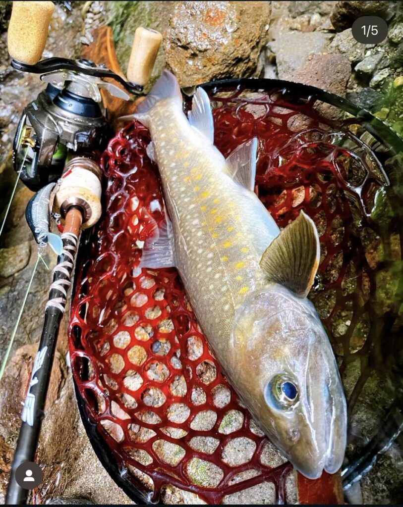 2024/12/8(日) 第15回ハンドクラフトエキシビション | 釣り具のTRY-ANGLE