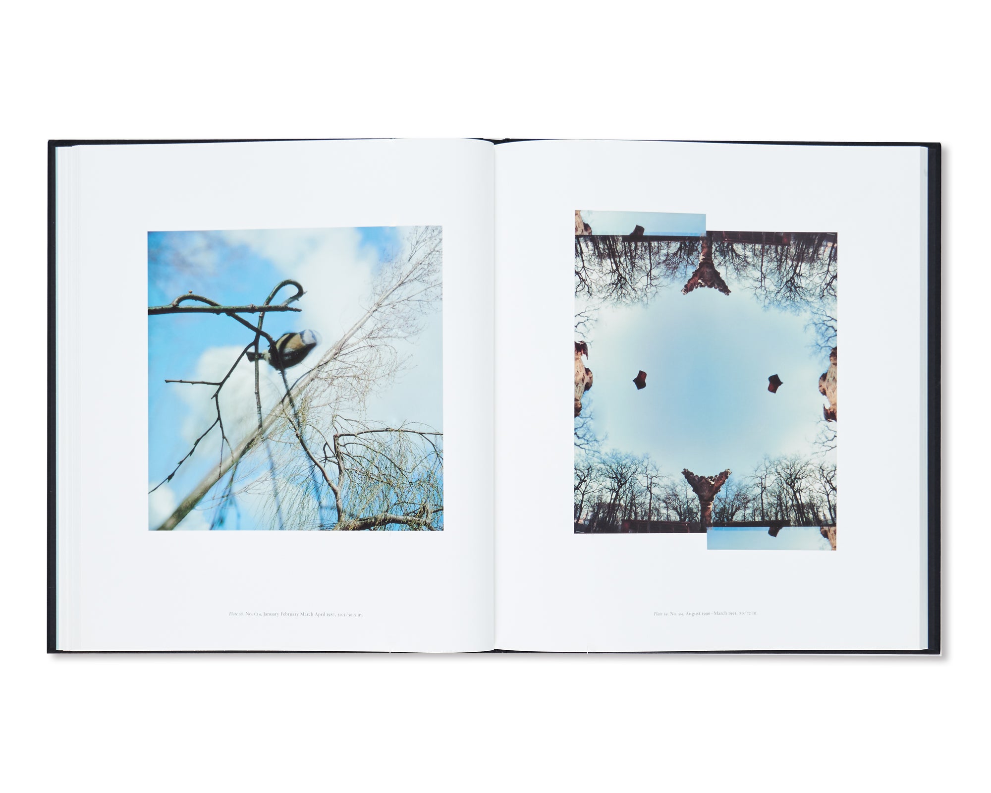 JEAN LUC MYLAYNE by Jean Luc Mylayne – twelvebooks