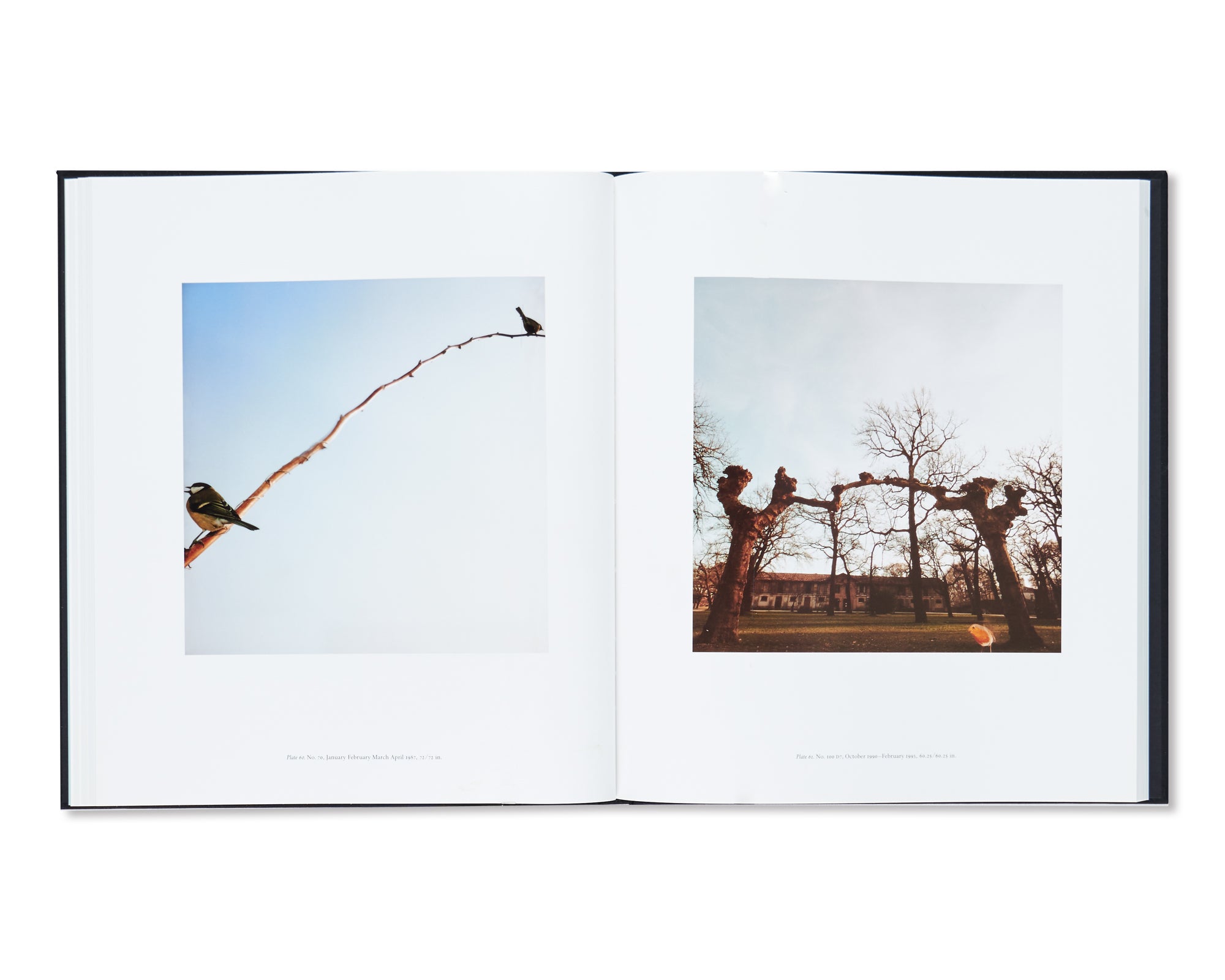 JEAN LUC MYLAYNE by Jean Luc Mylayne – twelvebooks