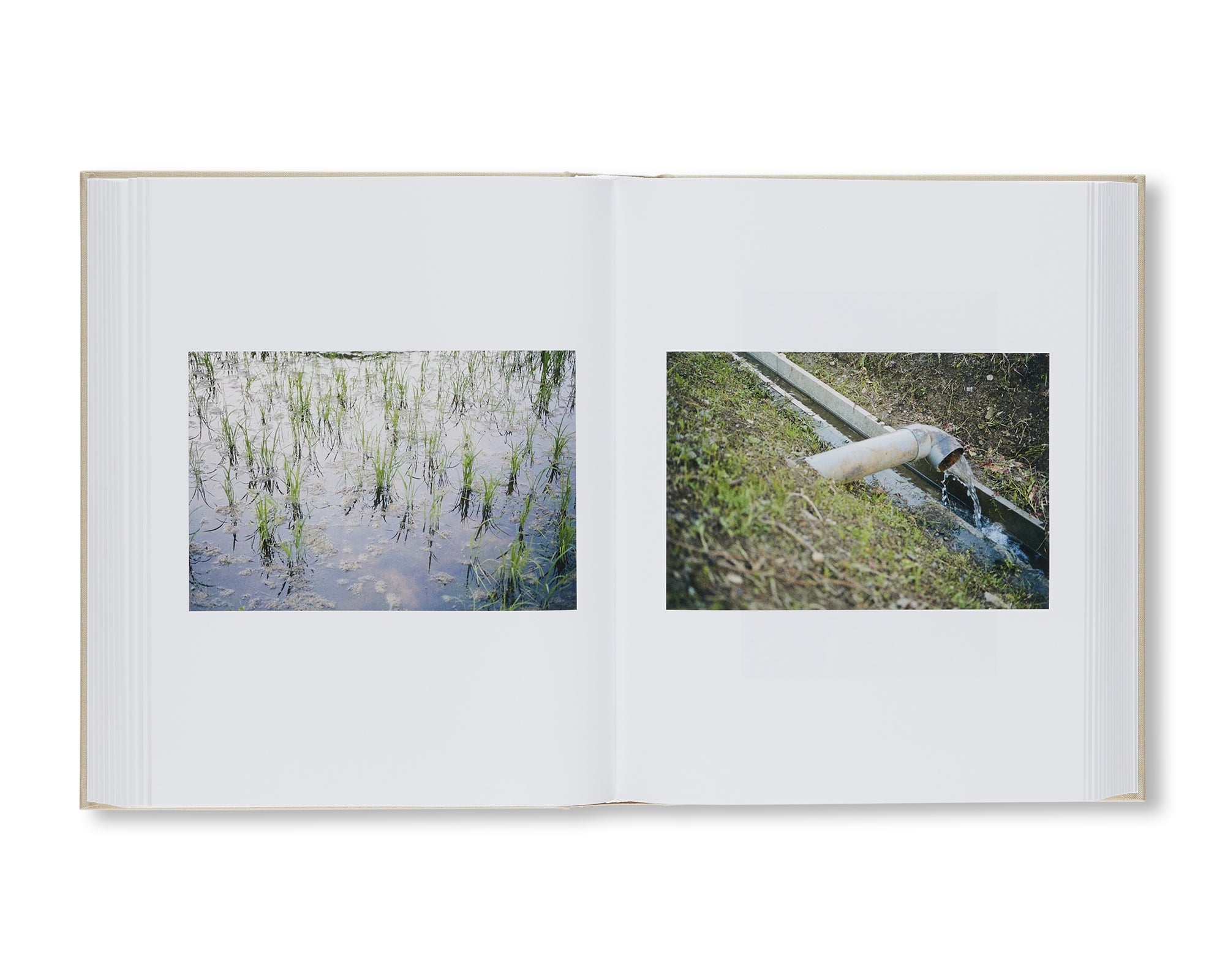 SHIOTANI by Anders Edström [SIGNED] – twelvebooks