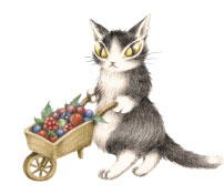 わちふぃーるど マーシィ ぬいぐるみ うさぎ マーシィ - わちふぃーる