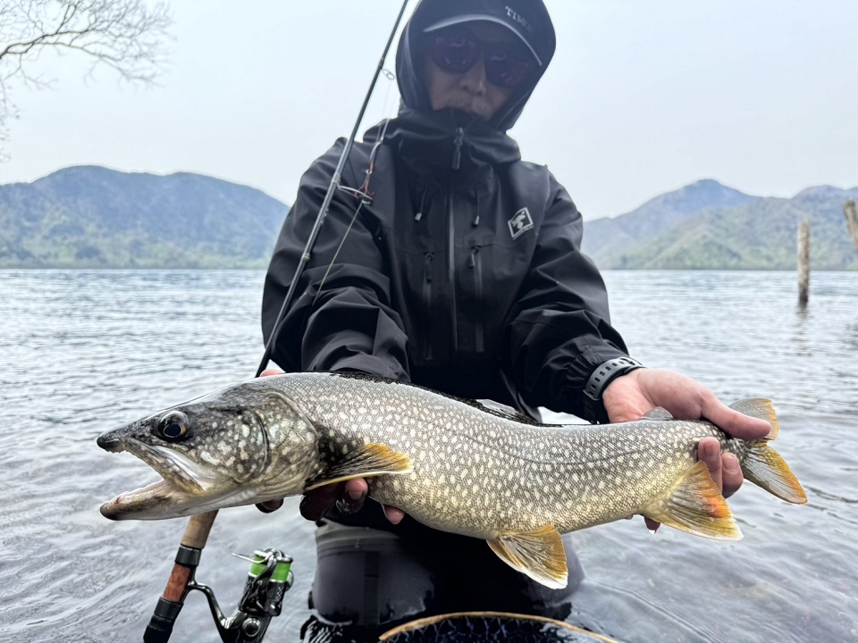 TULALA | Ford every stream | » 【STAFF】中禅寺湖レイクトラウト釣行