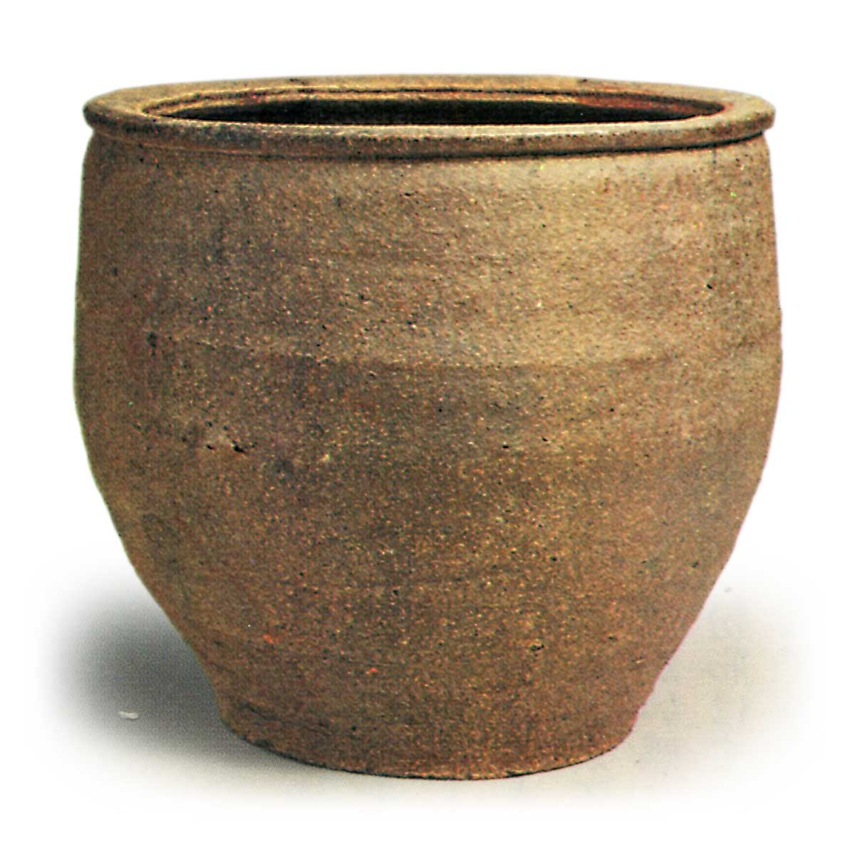 南蛮焼 なんばんやき | 鶴田 純久の章 お話