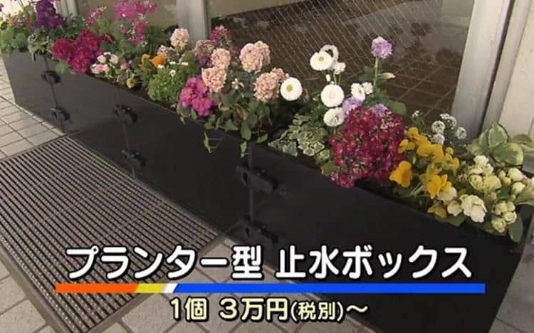 あるとないとでは大違い！浸水防止プランター：WBS | テレビ東京・BS