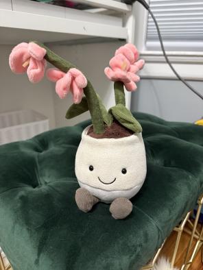 Jellycat Amuseables Pink Orchid Like new | Mercari