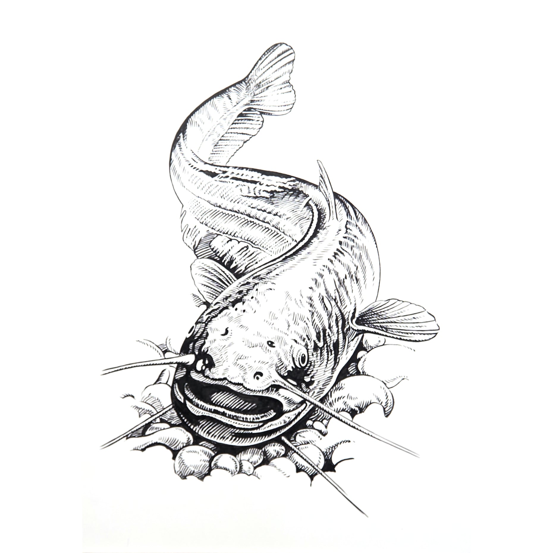 大ナマズ」原画 – Susumu Uchida