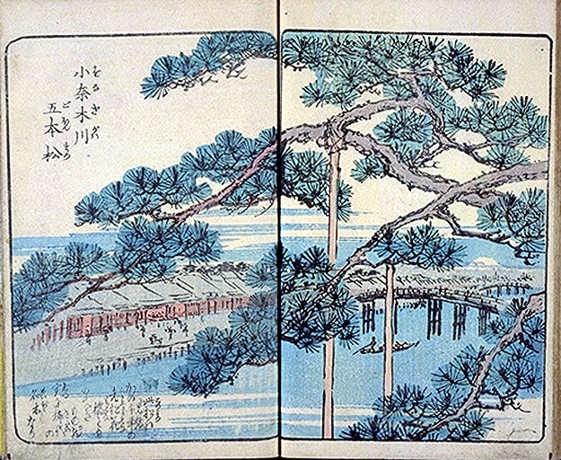 23 小奈木川五本まつ: 浮世絵に聞く！