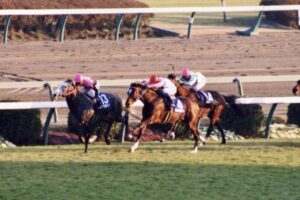 有馬記念］いくつもの「夢」が叶った日 - 1993年有馬記念
