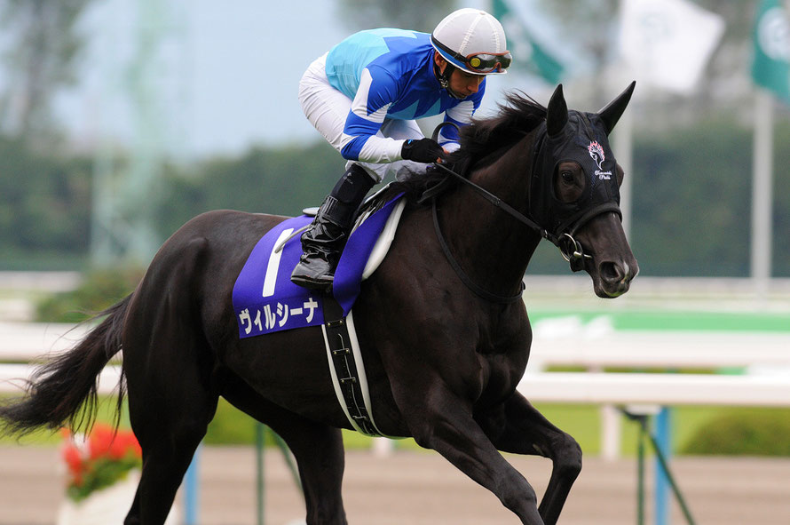 Rewind the Race］一致団結～2013年・ヴィクトリアマイル～ | ウマフリ