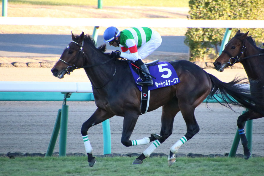 特別な週末」から「喜劇」、そして「祭り」へ〜名牝シーザリオが繋げた