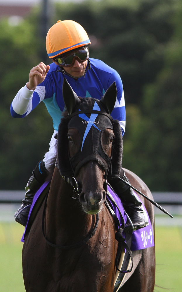 Rewind the Race］一致団結～2013年・ヴィクトリアマイル～ | ウマフリ