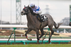 メジロマックイーン降着から18年、娘が制した府中芝2000m～ディア