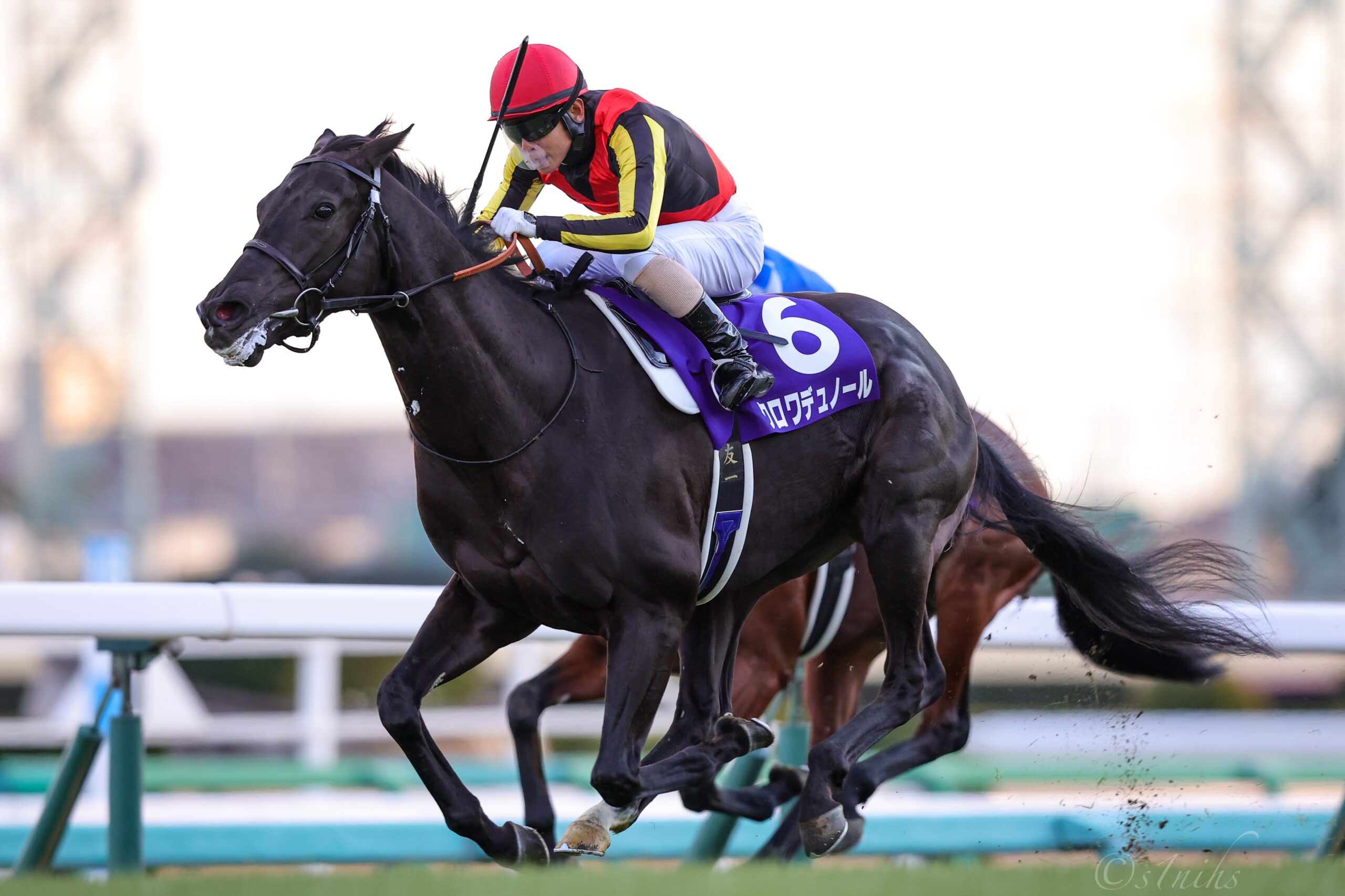 重賞回顧］復活と希望の勝利！北村友一騎手とクロワデュノールが