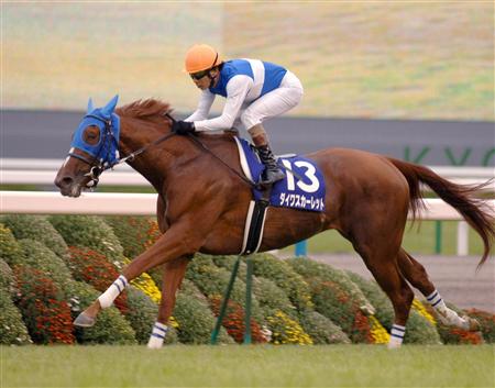ダイワスカーレット引退 JRAが正式発表｜競馬ニュース｜競馬予想の