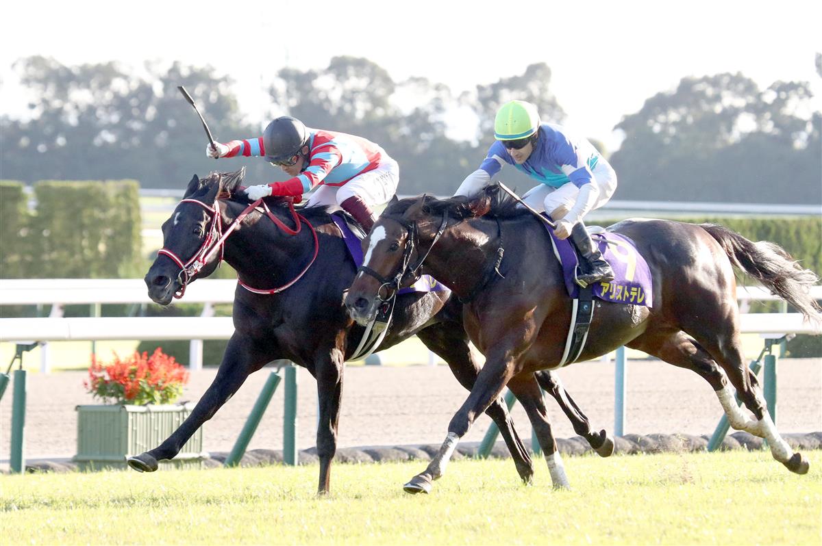 菊花賞】無敗3冠コントレイルは「日本競馬の宝」｜競馬ニュース｜競馬