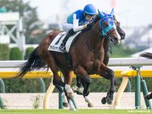 阪神JF】4戦無敗で2歳女王！ソダシ白毛馬史上初GI制覇｜競馬