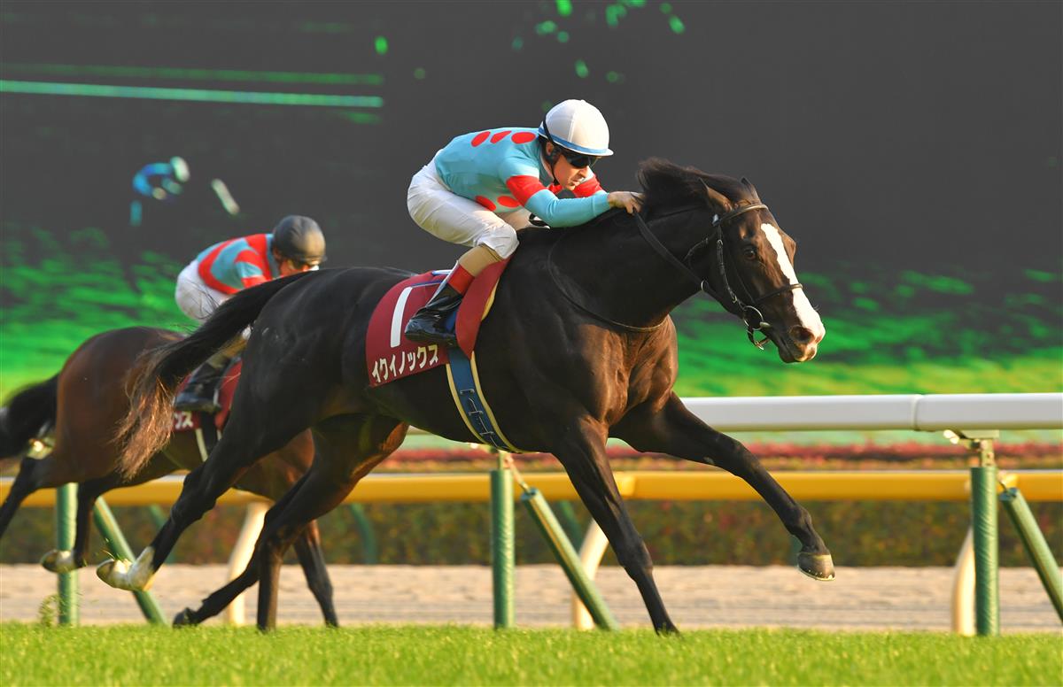 東スポ2歳S】イクイノックス楽々デビュー2連勝｜競馬ニュース｜競馬