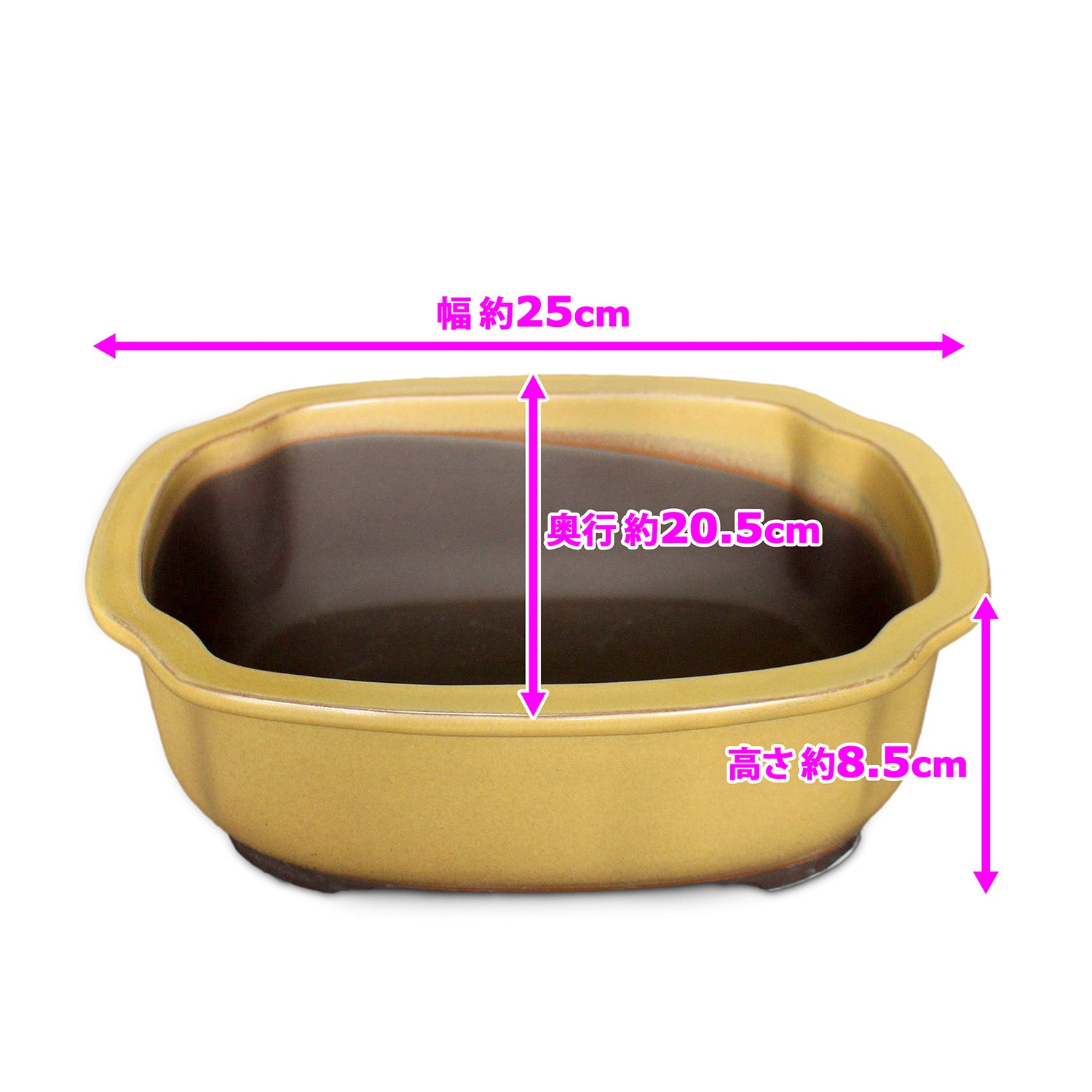 盆栽鉢 木瓜鉢 モッコ鉢 瀬戸焼 (8号(約25センチ), 黄釉) – うめきち