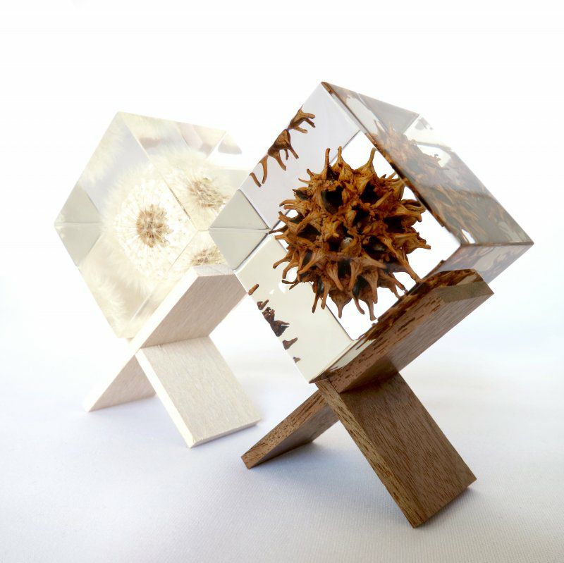 Sola cube 3個・木箱セット (組み合わせフリー) | ウサギノネドコ