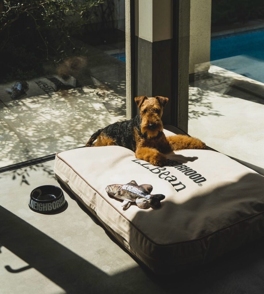 NEIGHBORHOOD®︎ 24SS “Dogs” Seriesが国内6月15日に発売。L.L.Beanと