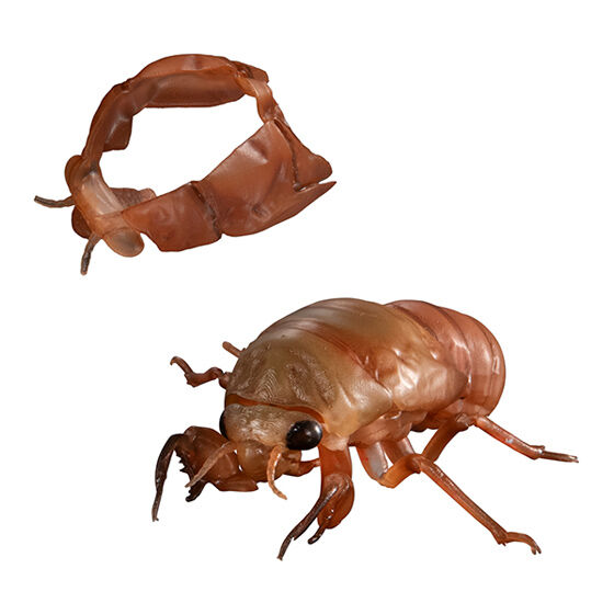 ADVANCE CICADA 01 | NEW | Gashapon US official