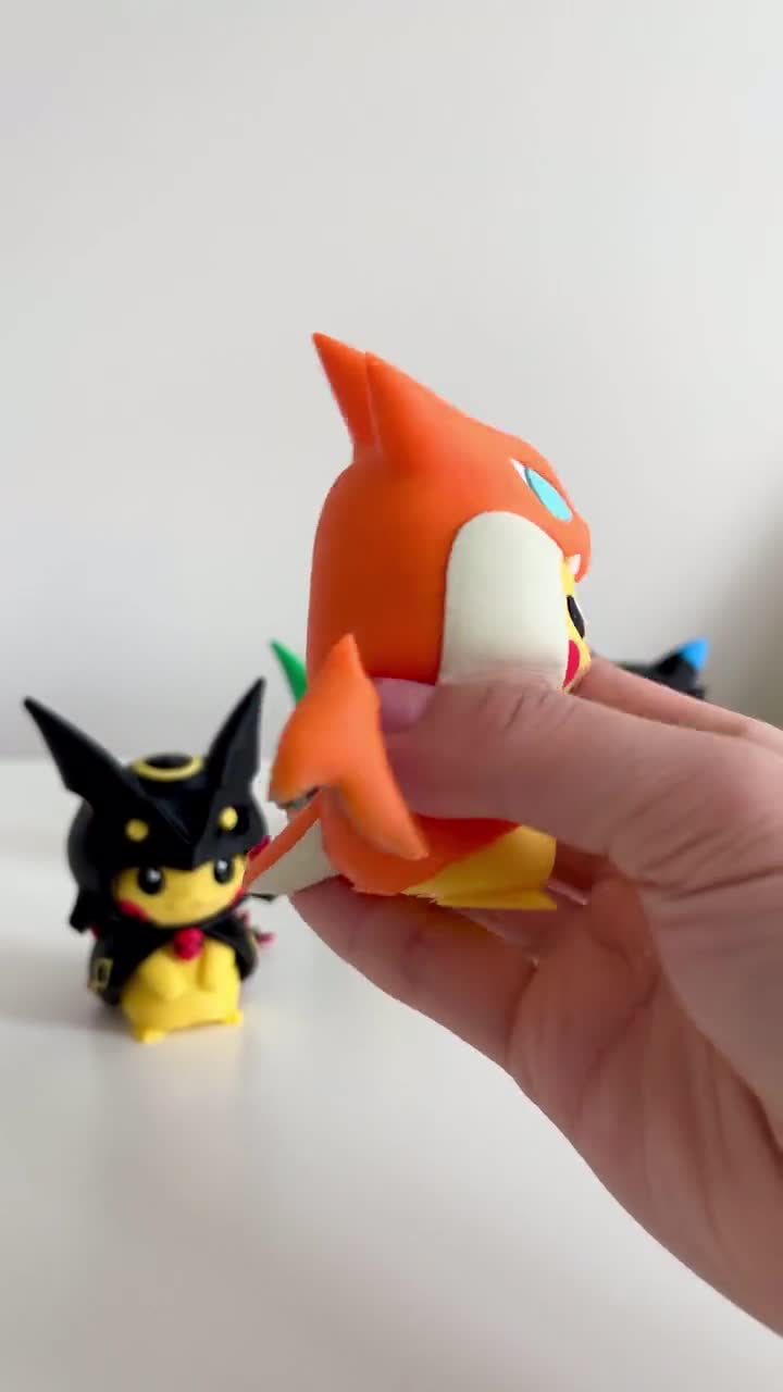 ポンチョナキウサギ レックウザ・リザードン・コイキング デザイン