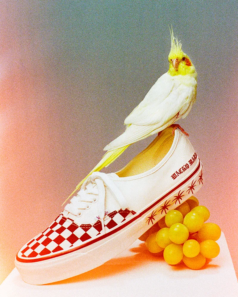 WACKO MARIA | ヴァンズジャパン公式オンラインストア