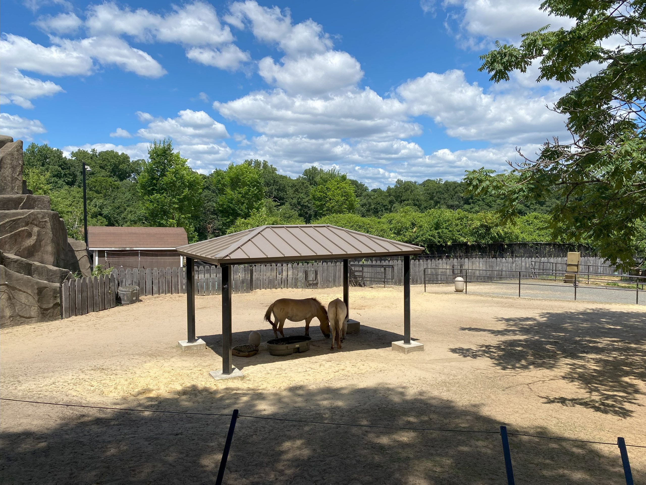 Complete Guide to Smithsonian National Zoo in DC - Valeriya Goffe