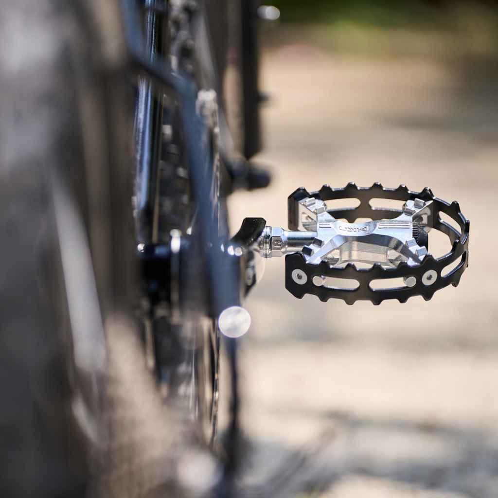 BearSIlvBK_cfbeb258-e113-487e-