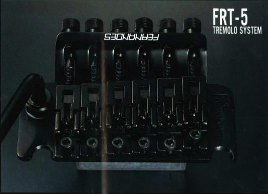 Fernandes 1985+ Licensed – VintageFloydRose.com