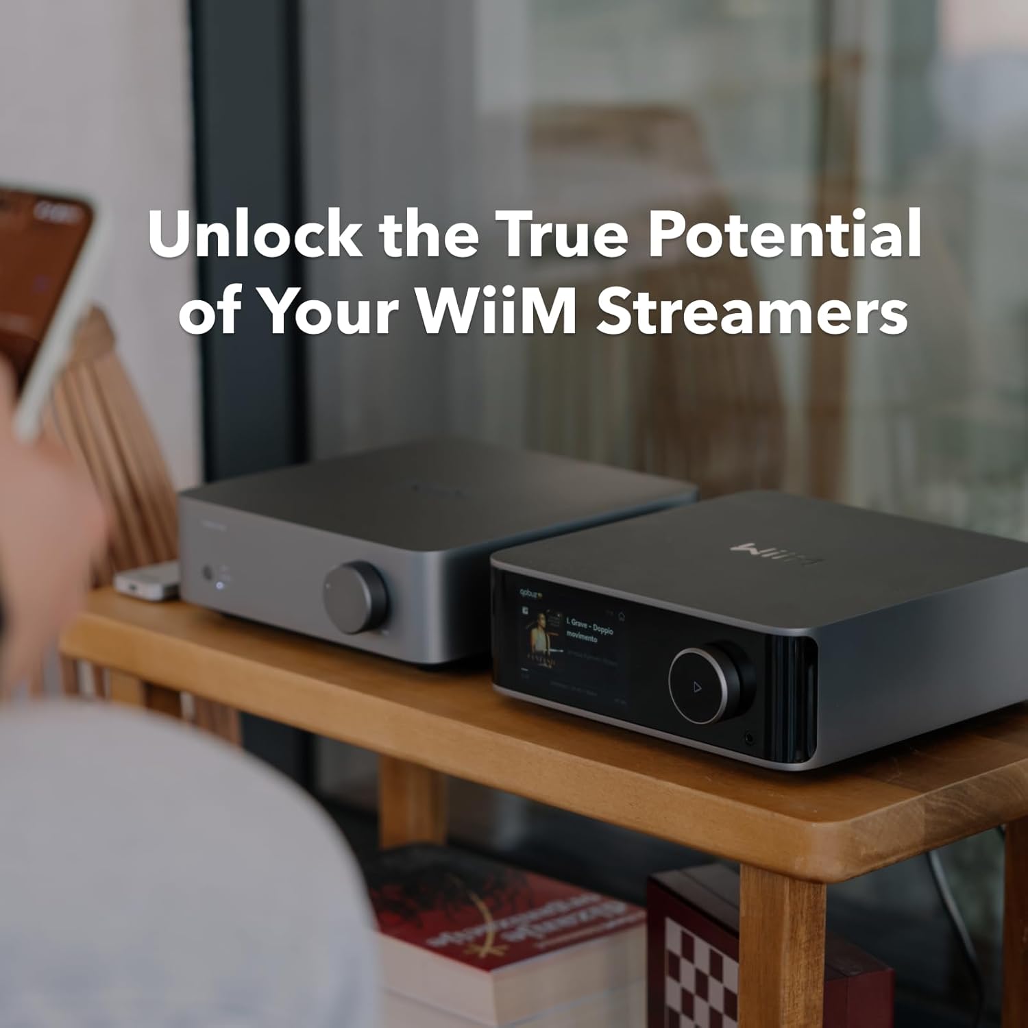 WiiM Vibelink Amp | Vinyl Sound Toronto Canada – Vinyl Sound