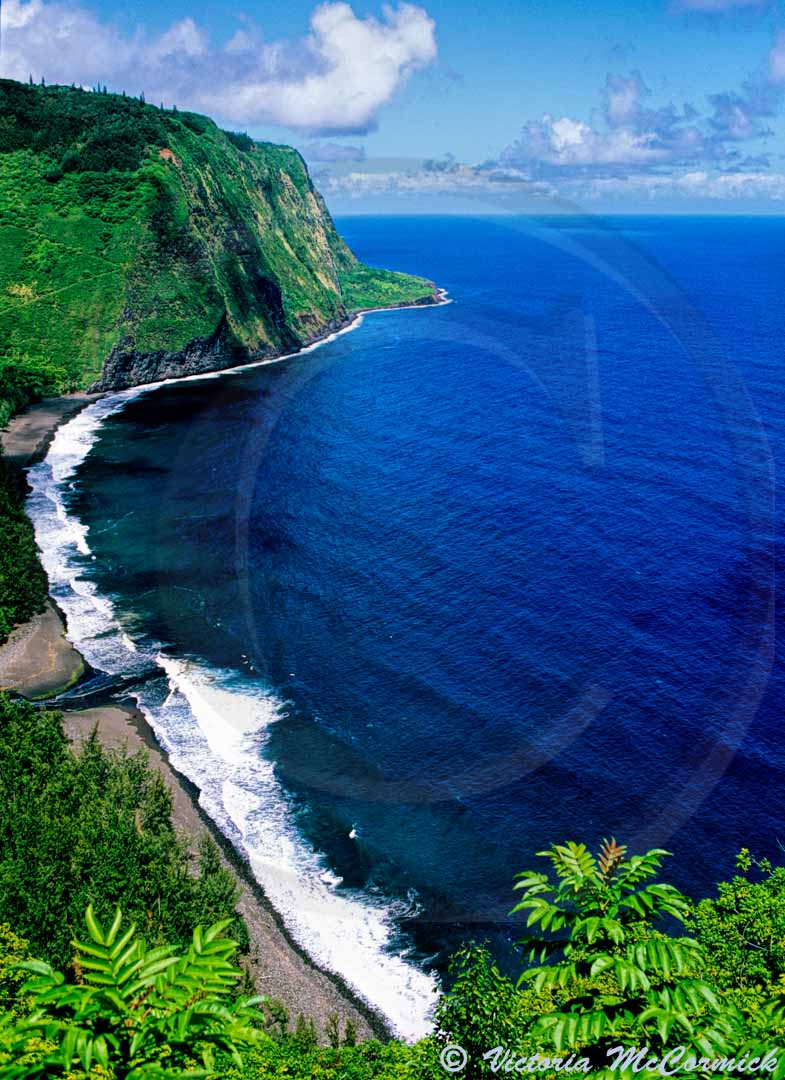 Victoria McCormick ハワイの風景画 Hawaii art Victoria McCormick