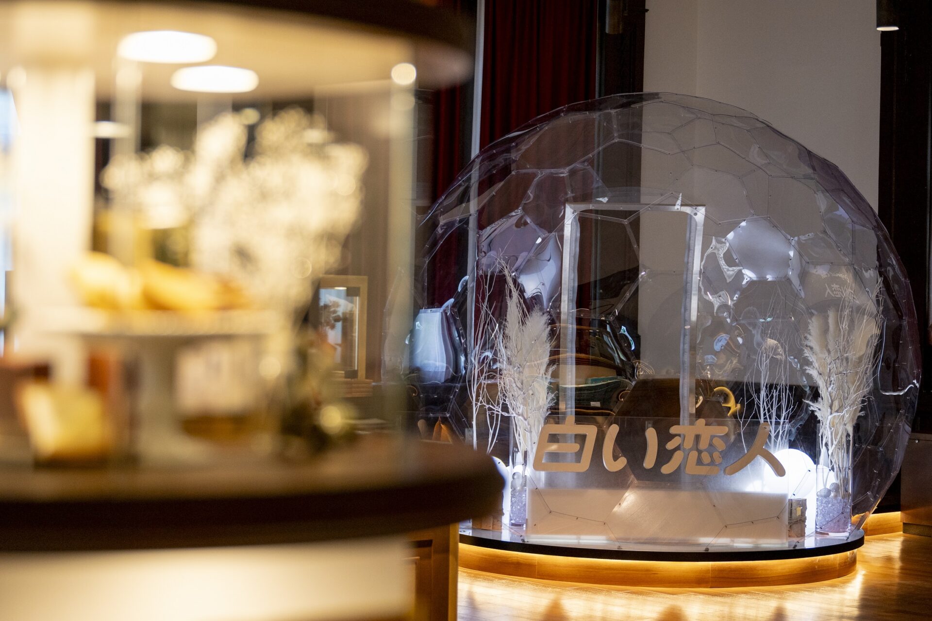 Snow Dome 集めてみました❄️ | 日本で唯一のドーム専門企業