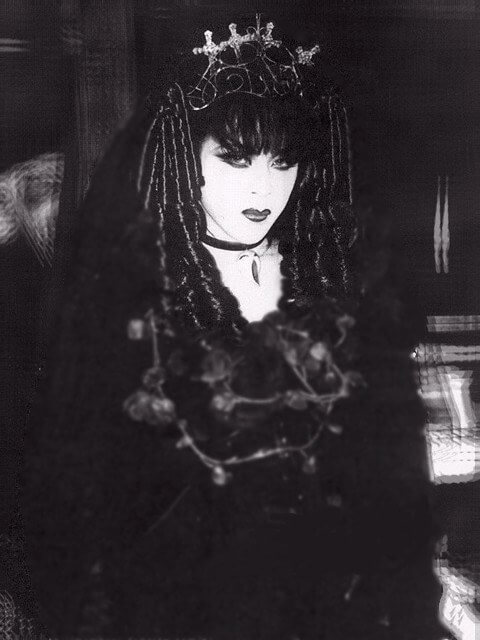 VELVET EDEN V. DADA solo photo | vkgy (ブイケージ)