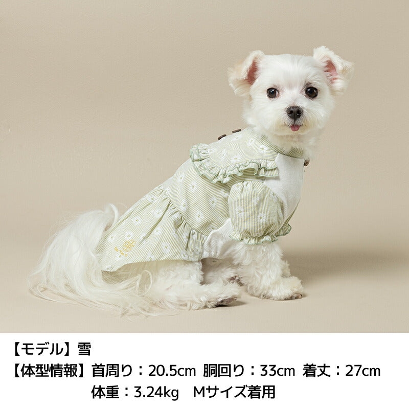 デイジー柄ストライプワンピ XS/S/M/L/XL/XXL Un TouTou -アントゥトゥ