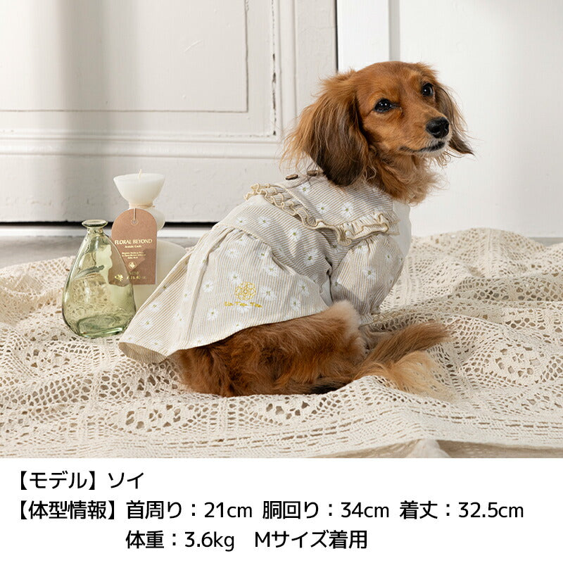 デイジー柄ストライプワンピ XS/S/M/L/XL/XXL Un TouTou -アントゥトゥ