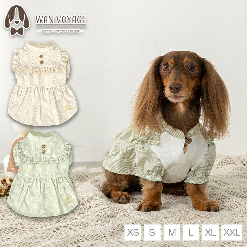 デイジー柄ストライプワンピ XS/S/M/L/XL/XXL Un TouTou -アントゥトゥ